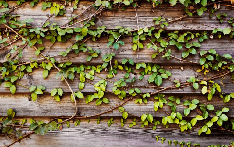 Jardines verticales para transformar oficinas y espacios comerciales